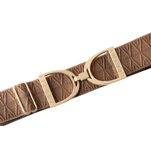 Ellany 1.5" Gold Stirrup Elastic Belt, Caramel Dante